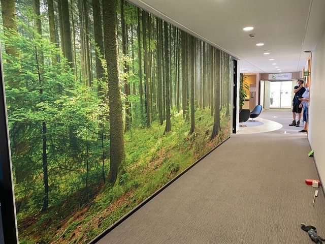 Cadre RT acoustique pleine paroi avec impression forêt dans le couloir d'un bureau