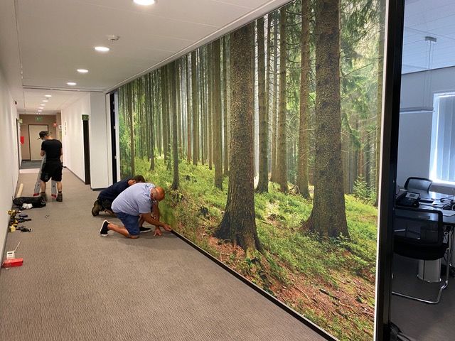 Installation d'un grand cadre RT acoustique avec impression forêt dans un couloir de bureau
