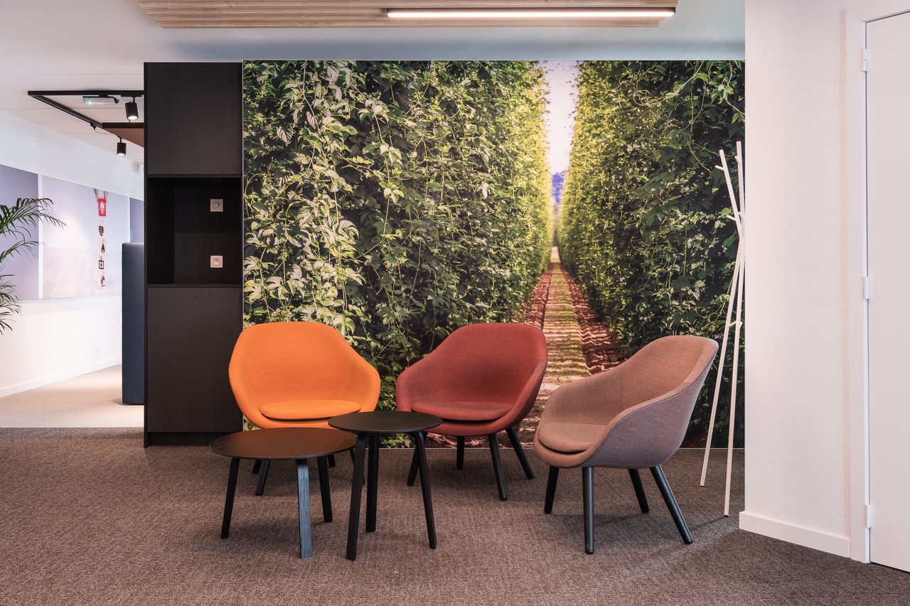 Cadre RT acoustique avec champ de houblon dans une zone lounge colorée
