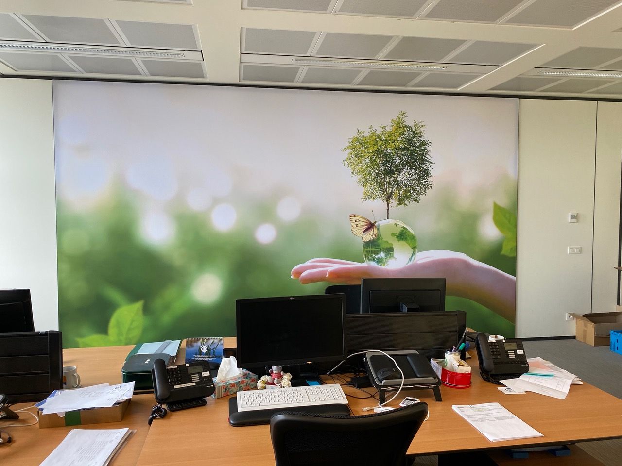 Cadre RT acoustique pleine paroi avec impression nature dans un bureau