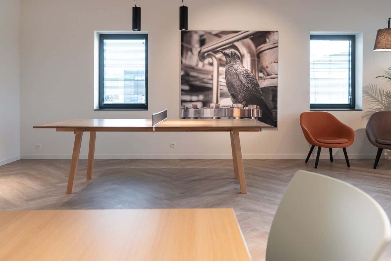 Cadre RT acoustique avec photo noir et blanc d'oiseau dans un lounge avec table de ping-pong