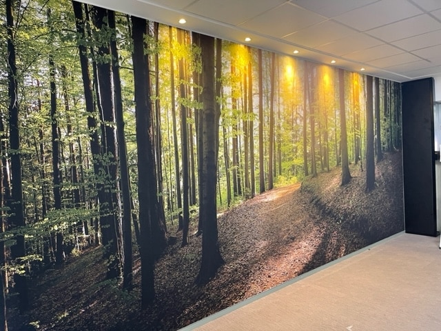Cadre photo acoustique pleine paroi avec forêt ensoleillée dans un bureau