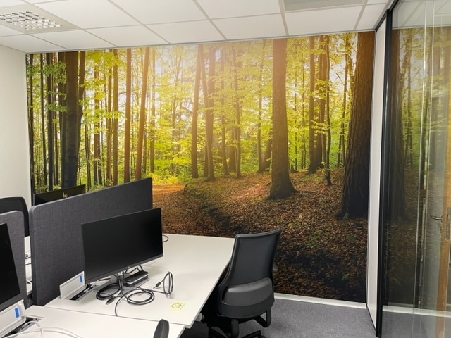 Cadre RT acoustique sur mesure avec impression forêt dans le coin d'un bureau