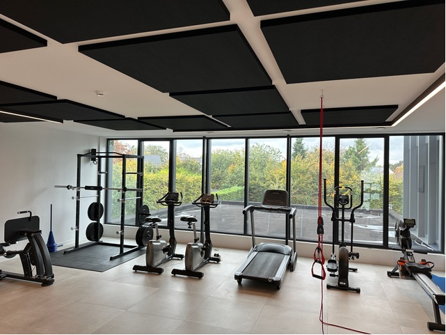 Îlots de plafond acoustiques noirs dans une salle de fitness et de revalidation avec grande fenêtre