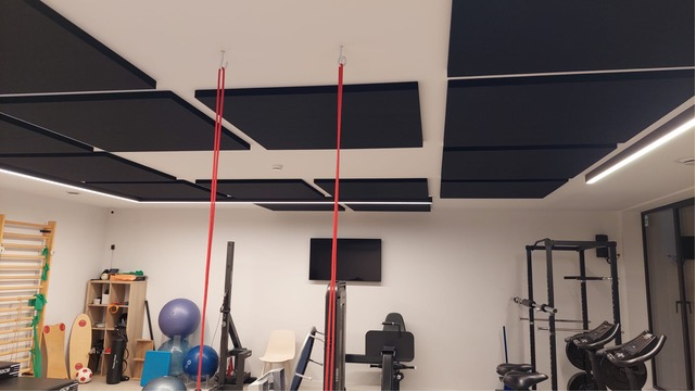Panneaux de plafond acoustiques noirs dans une salle de kinésithérapie et de revalidation